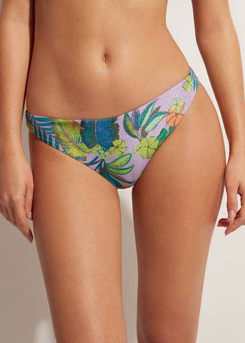 Bikini Bottoms Calzedonia Brasilia Roxo | BR1304UT