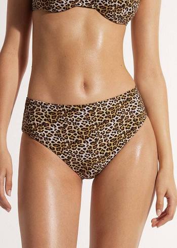 Bikini Bottoms Calzedonia High Waist Malindi Marrom | BR1435IS