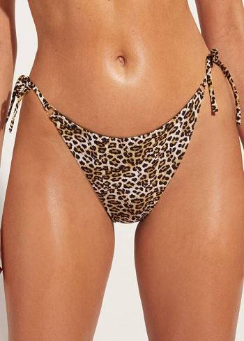 Bikini Bottoms Calzedonia String Malindi Marrom | BR1603ZG