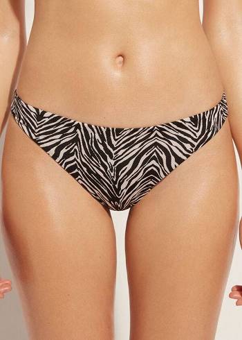 Bikini Bottoms Calzedonia Zebra Nairobi Pretas | BR1661MA