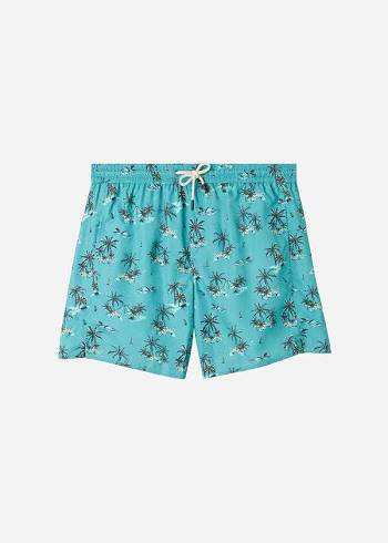 Calções De Banho Calzedonia Formentera Sport Verdes | BR2944VD