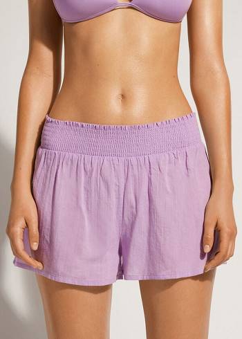 Cover Ups Calzedonia Cotton Shorts Roxo | BR2120JJ