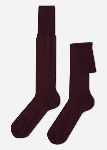 Meias Calzedonia Lisle Thread Long Bordeaux | BR2761LH